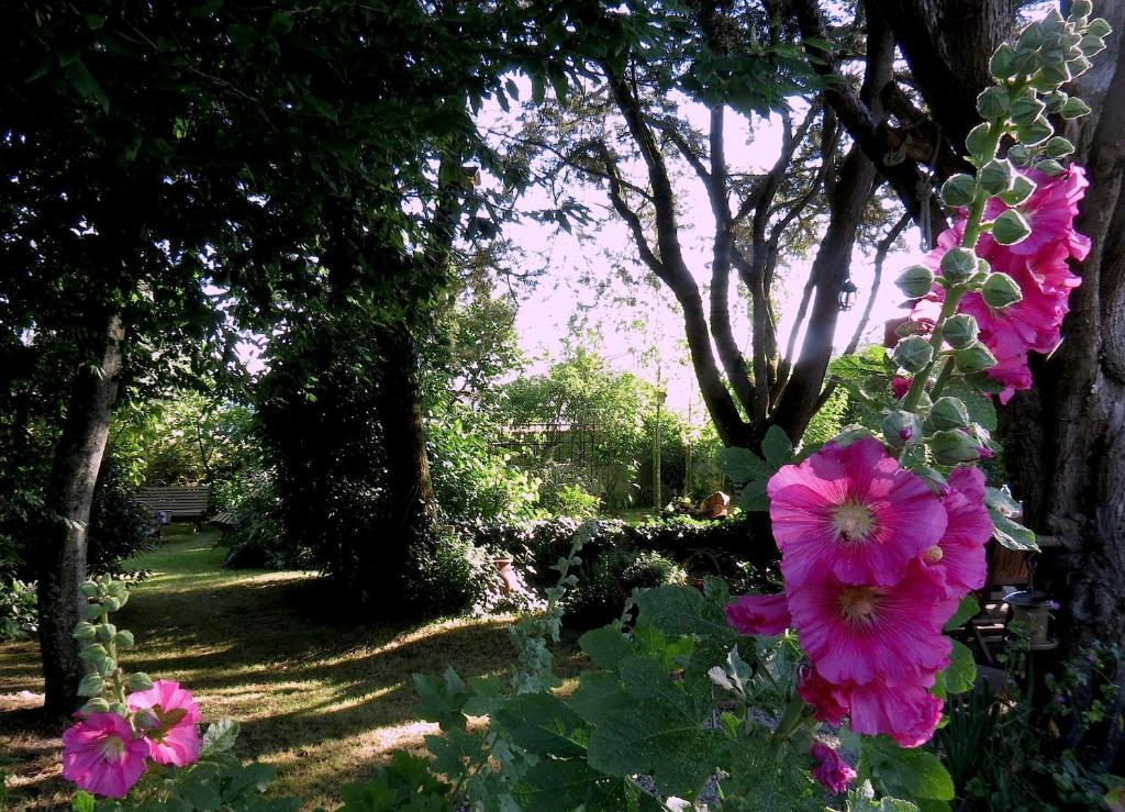 La Claverie Sainte-Radégonde-des-Noyers Exterior foto
